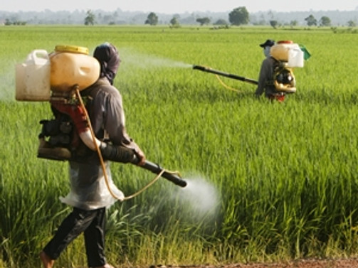 Pestisitlerin kalıntı limitlerine AB ayarı