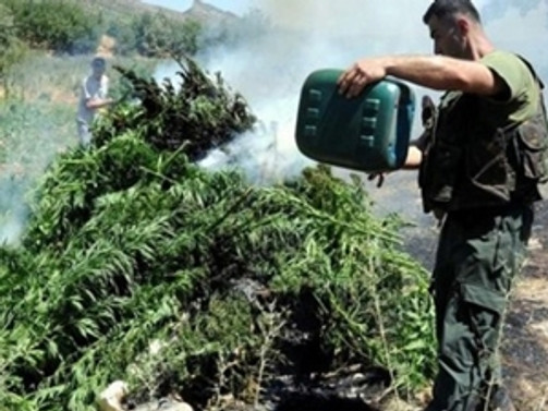 Afganistan'da 21 ton uyuşturucu imha edildi