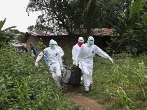 Ebola ekonomiyi de vurdu