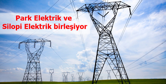 Park Elektrik ve Silopi Elektrik birleşecek