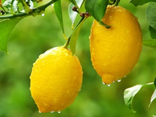 Limonun "ateşi" düşüyor