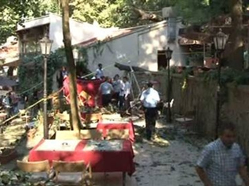 Ağaç faciasında bir kişi daha öldü