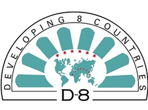 D-8 üyeleri New York'ta bir araya geldi