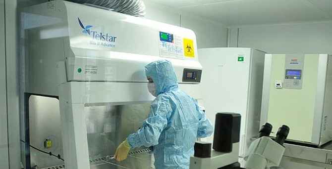 Danimarka'da MRSA tehdidi büyüyor!