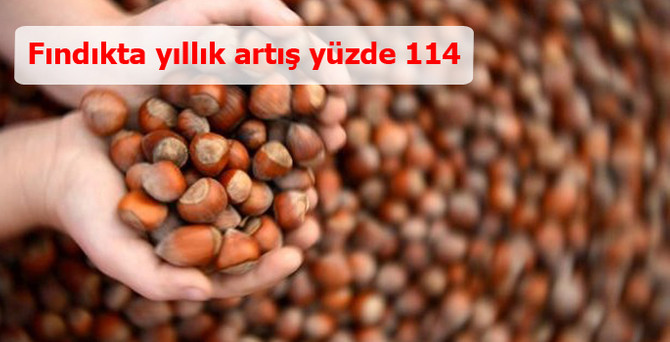 Fındıkta yıllık artış yüzde 114