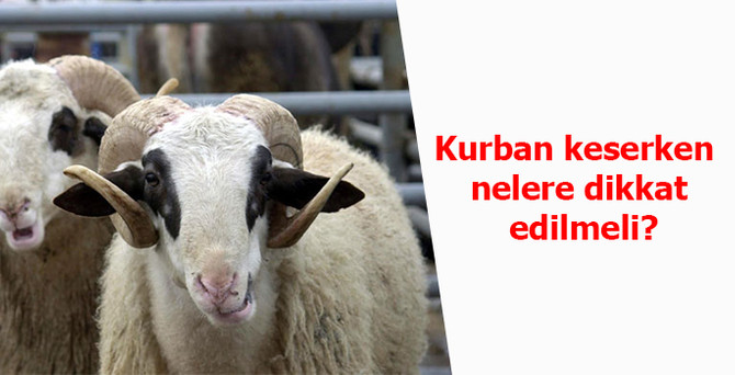 Kurban keserken nelere dikkat edilmeli?