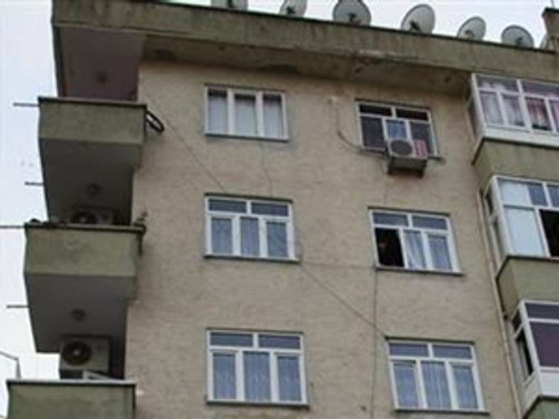 Çatıdan düşen keçi öldürdü