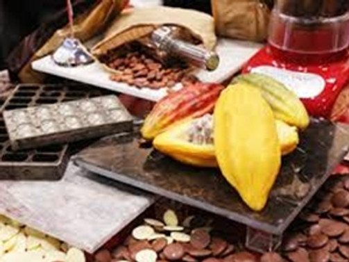 Gıda ihracatçılarına Foodex Japan 2015 çağrısı