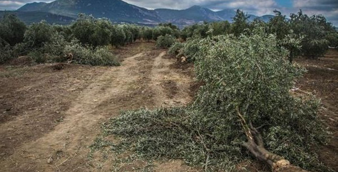 Danıştay'dan termik santrale durdurma kararı