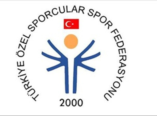 Avrupa'da Türkiye'ye 'özel' görev