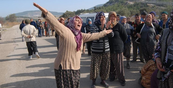 Kesilen 6 bin ağacın akıbeti belli oldu!