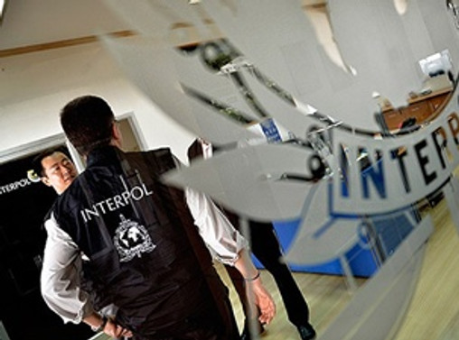 Interpol doğa düşmanlarına savaş açtı