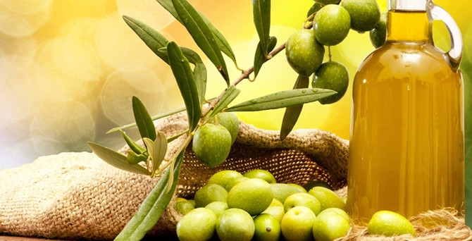 Zeytin üreticisi ‘konsey’ istiyor