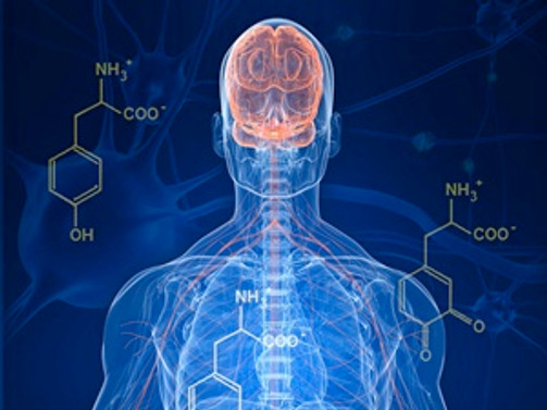 Parkinson'a neden olan gen bulundu