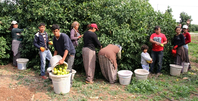 Fiyatı 10 liradan 75 kuruşa düştü
