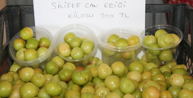 Kilosu 300 liradan satılıyor!