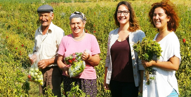 Doğal ürünler bir tıkla Datça'dan kapınızda