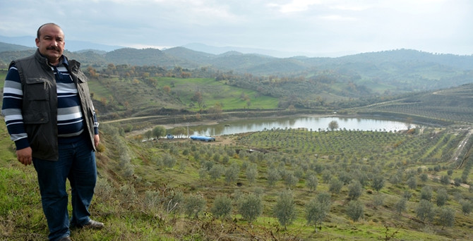 Linyit yatağıydı, zeytin yatağı oldu