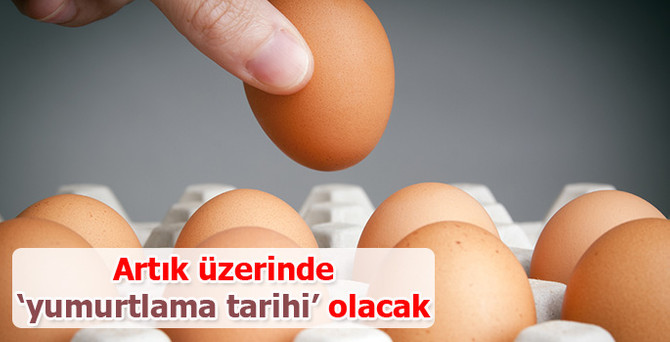 Tebliğ değişiyor, yumurta üzerine 'yumurtlama tarihi' yazılacak