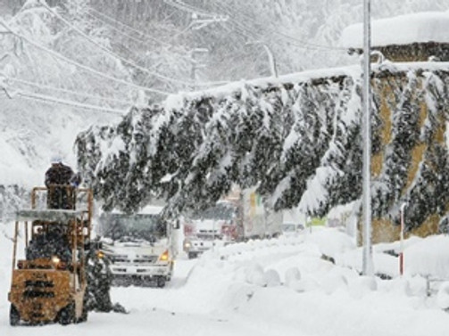 Siirt'te 120 köy yolu ulaşıma açıldı