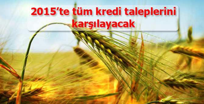 2015’te tüm kredi taleplerini karşılayacak