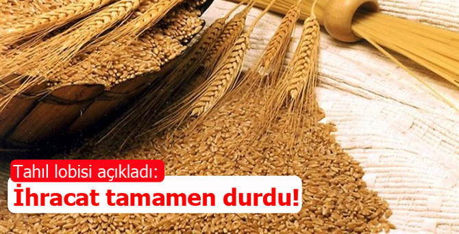Tahıl lobisi açıkladı: İhracat tamamen durdu!