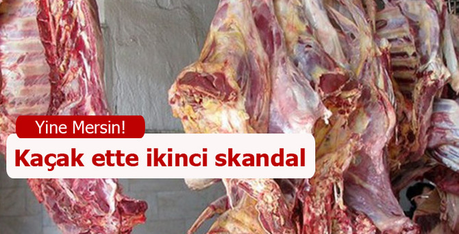 21 ton kaçak ete el kondu