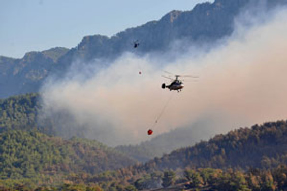 Antalya'nın ciğerleri yandı