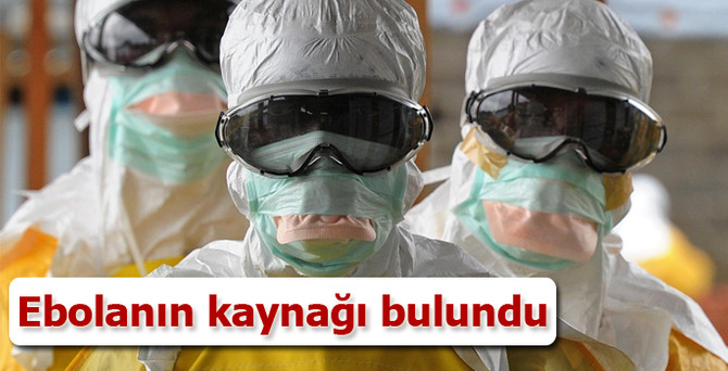Ebolanın kaynağı bulundu