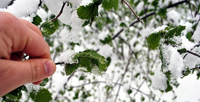 Meteorolojiden zirai don uyarısı