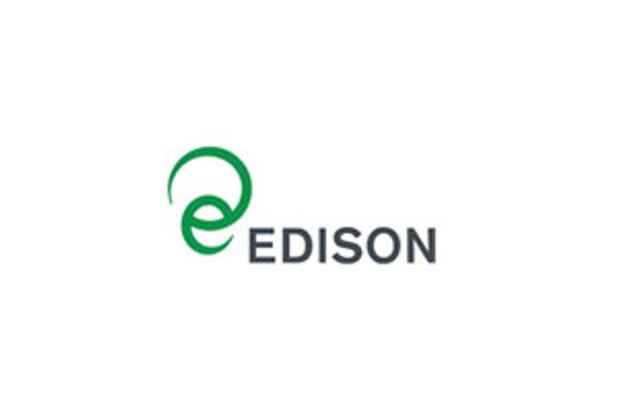 Edison, elektrik pazarından yüzde 20 pay istiyor