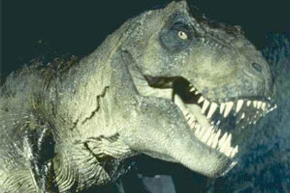İlk dinozorlar kedi büyüklüğündeymiş