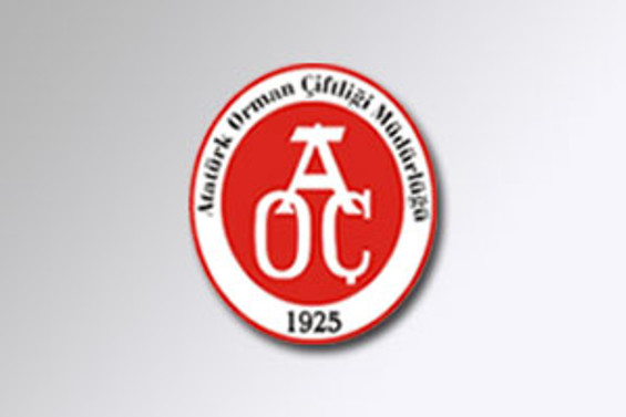 AOÇ İstanbul'da bayilik verecek