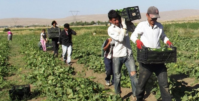 Şekerbank'tan çiftçilere özel Ramazan kampanyası