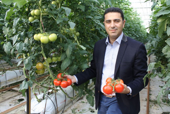 Yaş sebze ihracatçı, Rusya pazarının açılmasını bekliyor