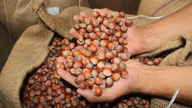 Fındık fiyatları Genel Kurul'a taşındı