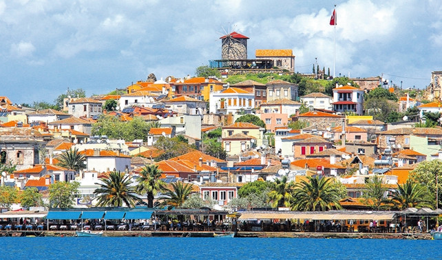 Ayvalık ve zeytinyağı markaları