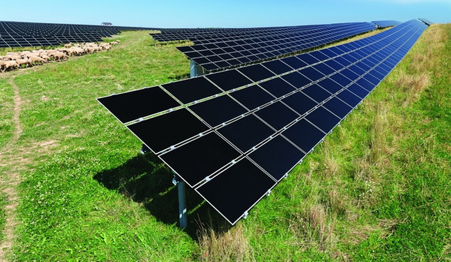 CEO'lardan yenilenebilir enerjiye destek