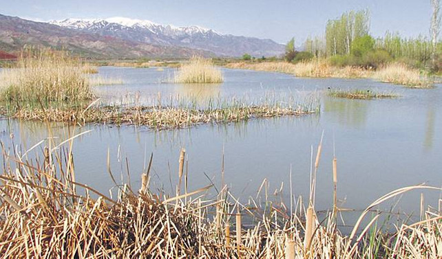 11 bin kilometre göç takibi