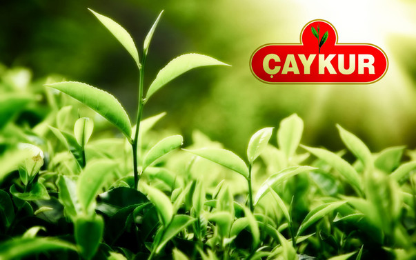 ÇAYKUR, Suudi Arabistan'da 'Çay evi' açacak