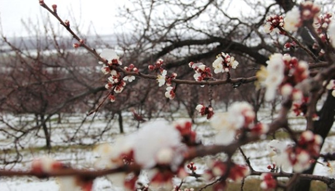 Meteoroloji'den don uyarısı