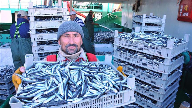 Hamsi balıkçıyı üzüyor