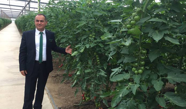 Yüksel Tohum, tescilli hibrit sebze tohumu ihraç ediyor