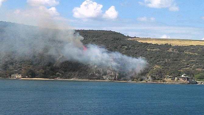 3. Köprü yakınlarında orman yangını