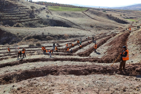 Gaziantep'te 1 milyon metre kare alan ağaçlandırılacak