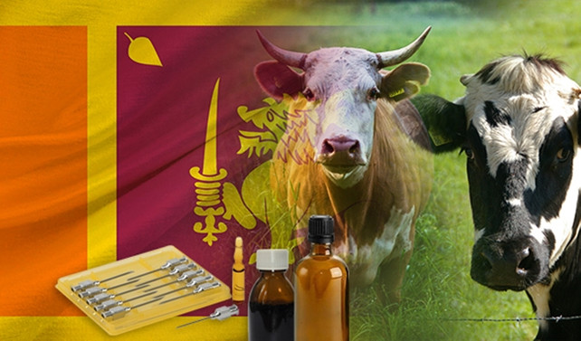 Sri Lanka'dan veteriner ilaçları bayiliği talebi