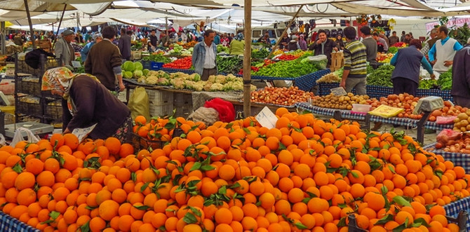 Tarla-market arasındaki fiyat farkı nasıl azaltılır?
