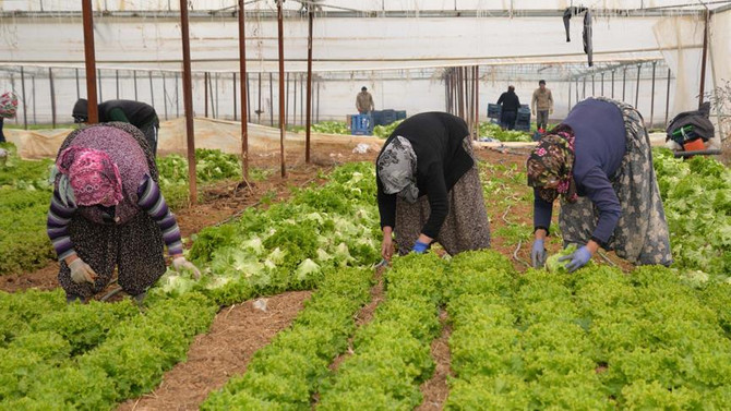 Tüketicilere giden yolda fiyat katlanıyor