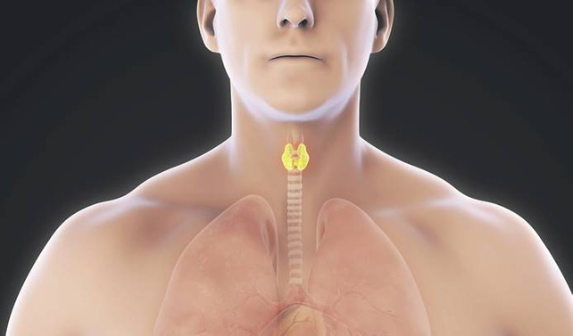 Depresyon ve tiroid hormonları
