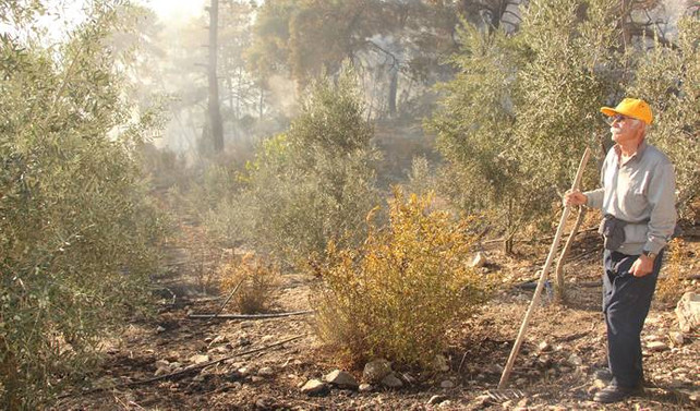 Antalya'da orman yangını